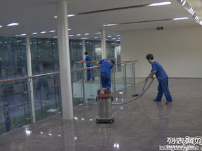 長沙保潔公司中泰家政 15年行業經驗，專業除四害服務