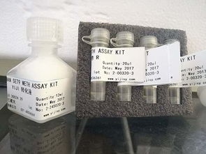 高效精準的生物實驗室必備 新型蛋白檢測試劑盒解析